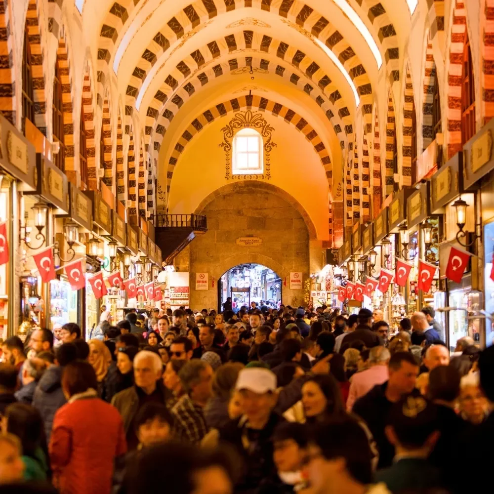 Shopping Tours
