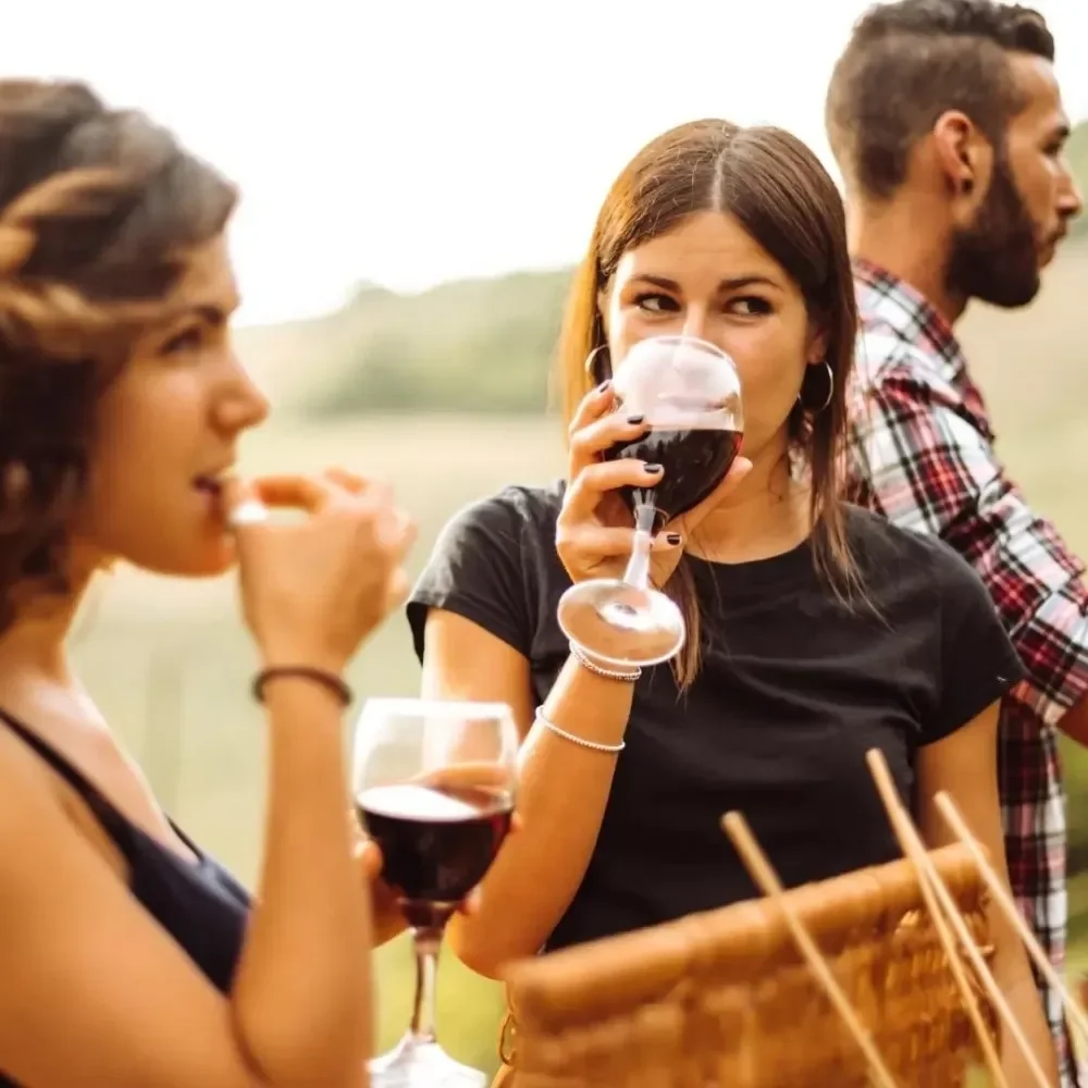 Wine Tours