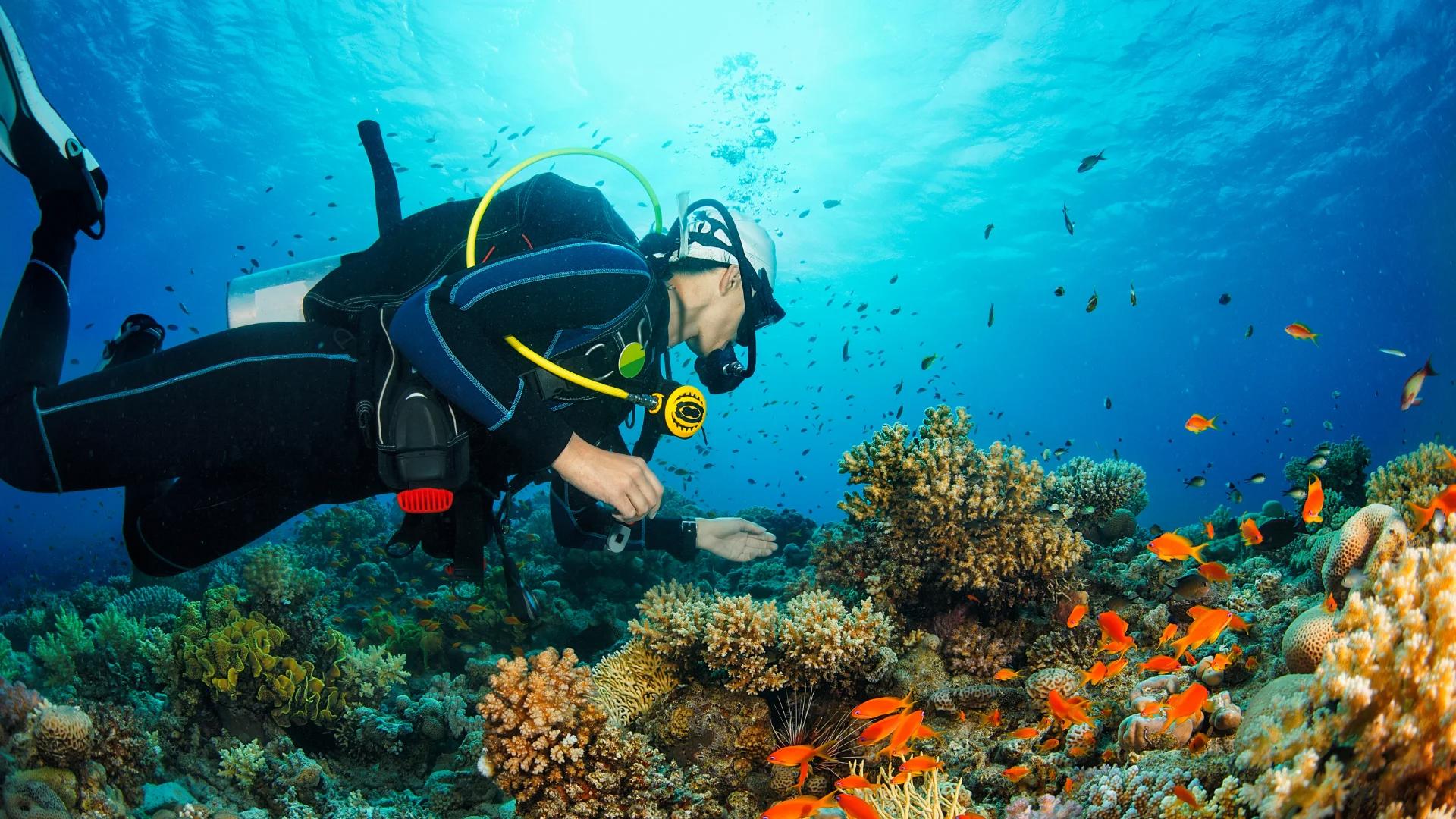 Diving in Turkey: The Best Underwater Spots on the Aegean & Mediterranean