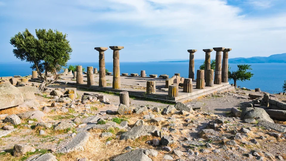 Assos (6)