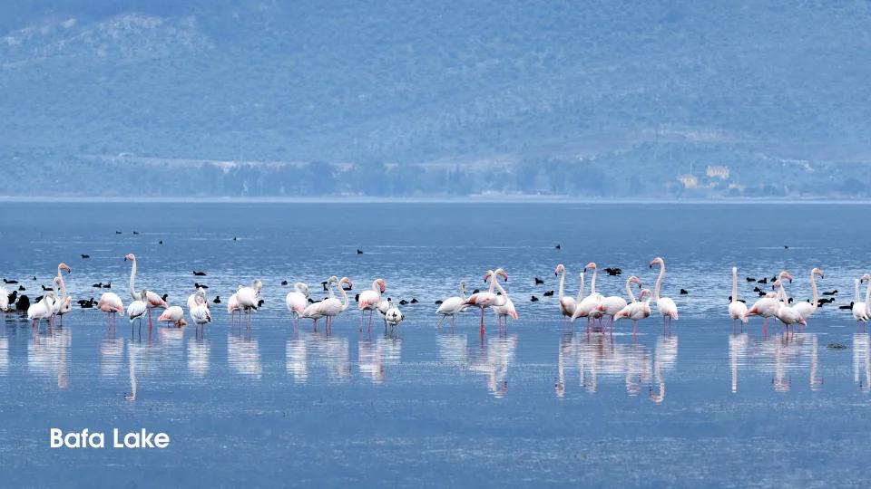 Bafa Lake (1)