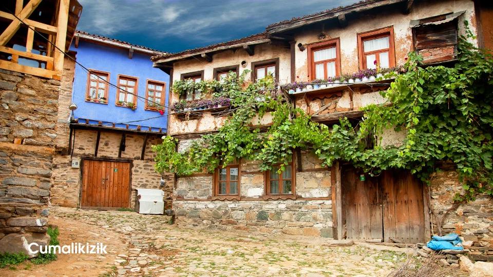 Cumalikizik (5)