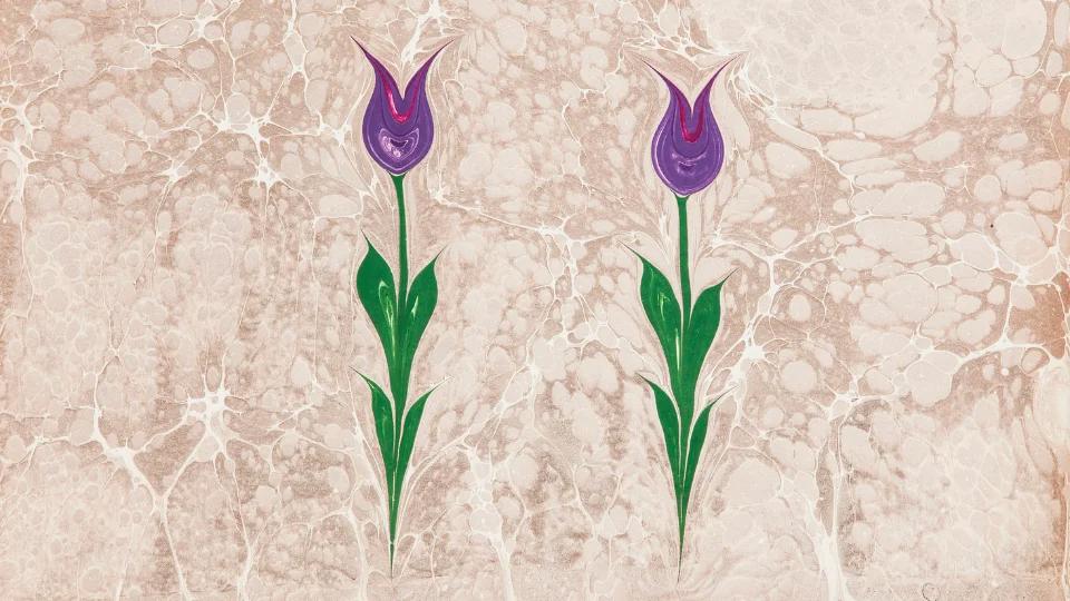 Ebru (6)