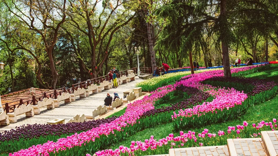 Emirgan Park (7)