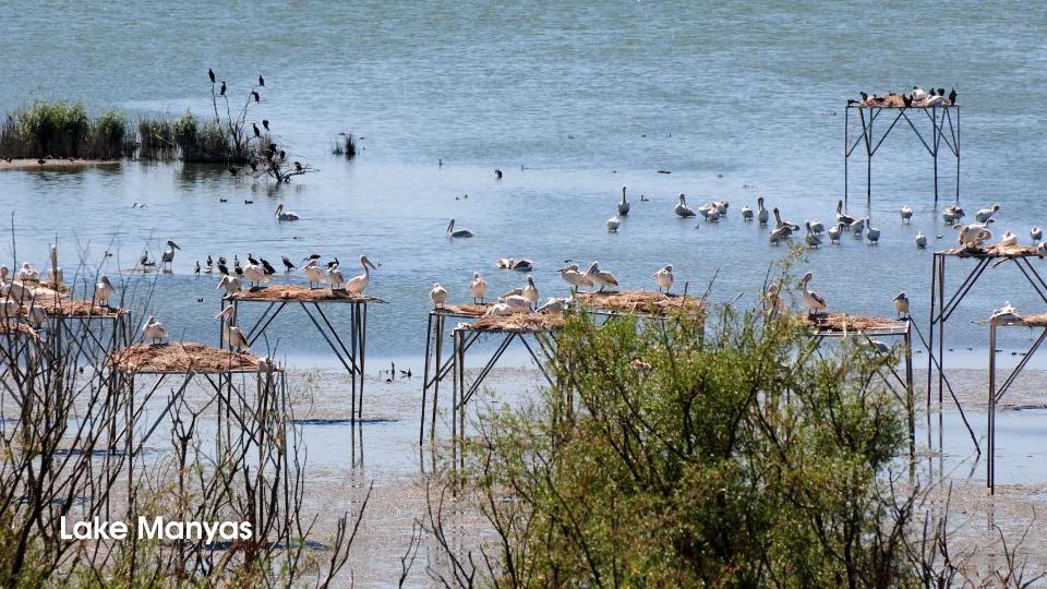 Lake Manyas (2)