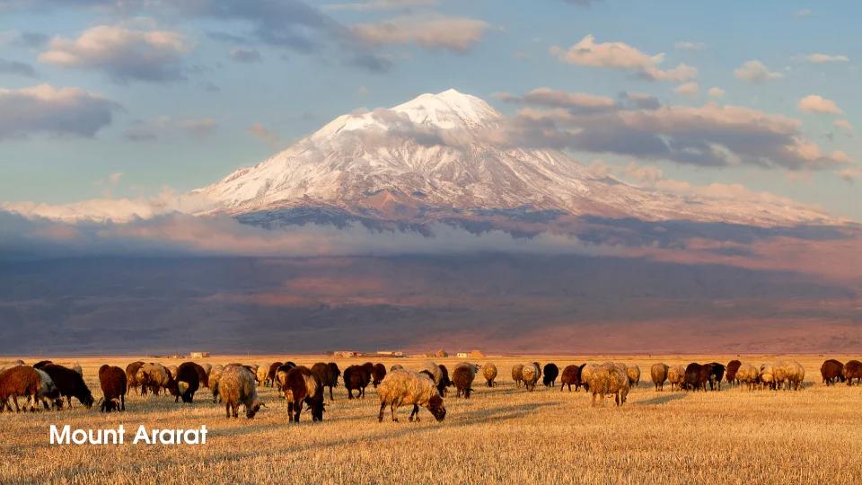 Mount Ararat (6)