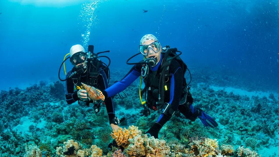Shipwreck Diving (5)