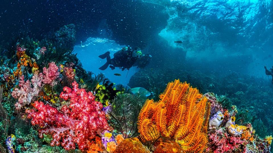 Underwater Ruins (4)